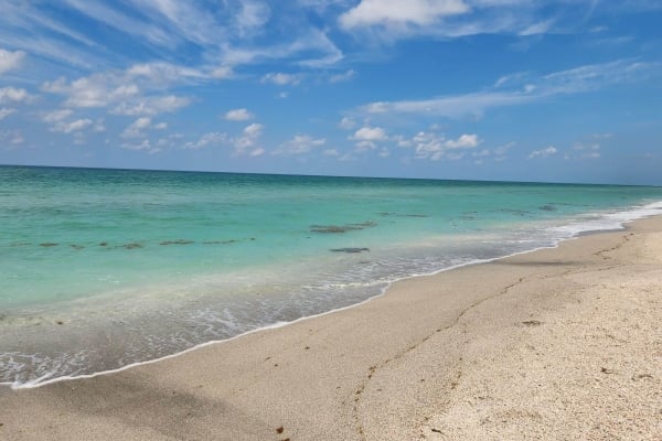 wide shot of an ocean shoreline