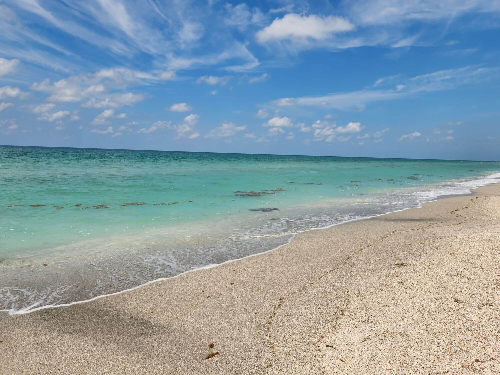 wide shot of an ocean shoreline