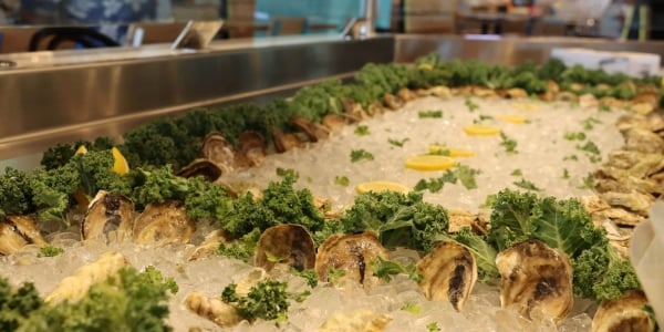 Shellfish preserved in ice at Kinderhook