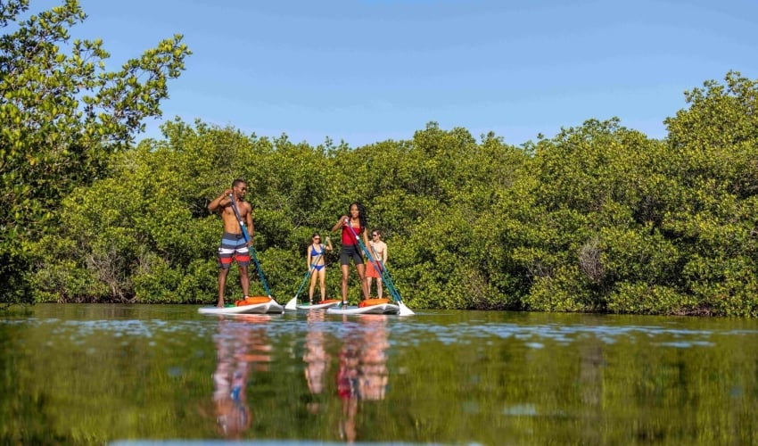 SUP Englewood
