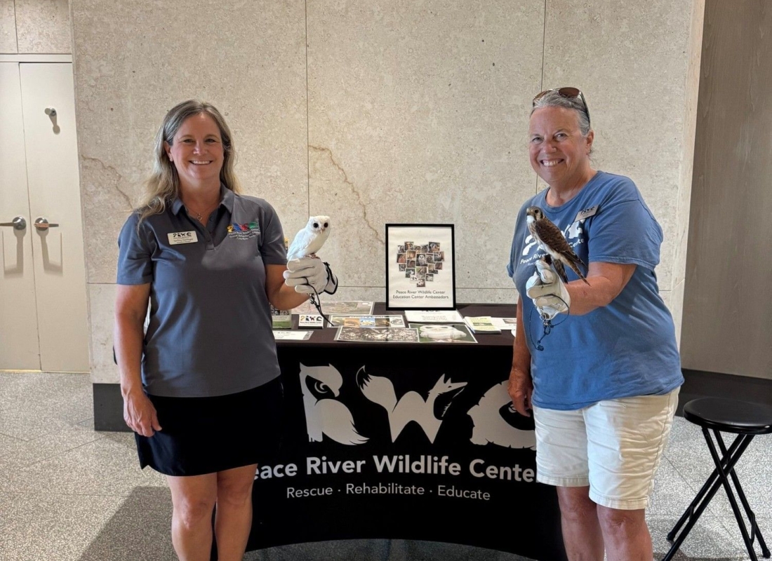 Peace River Wildlife Center Exhibit